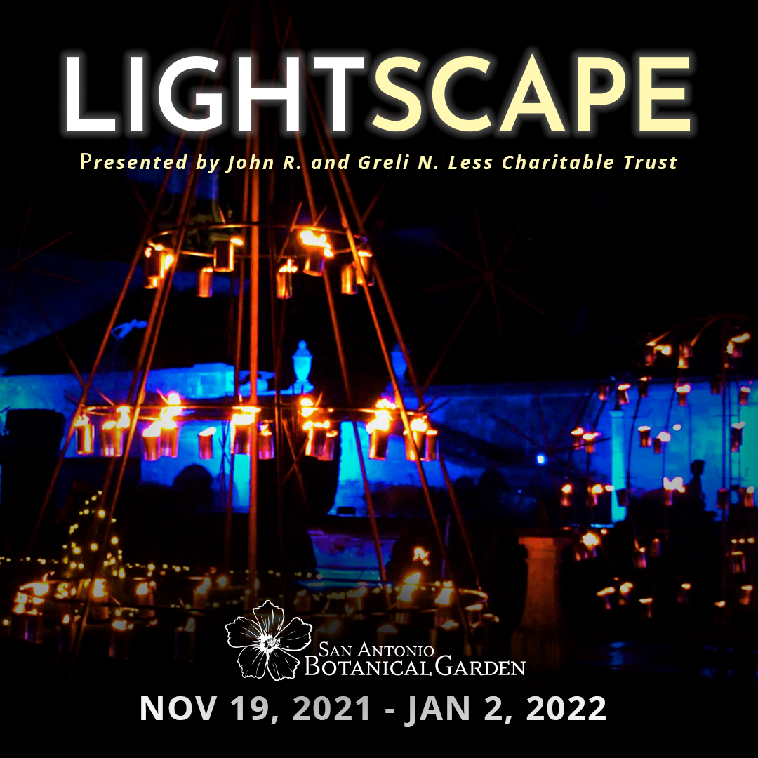 Lightscape at the San Antonio Botanical Garden - Austin Monthly Magazine