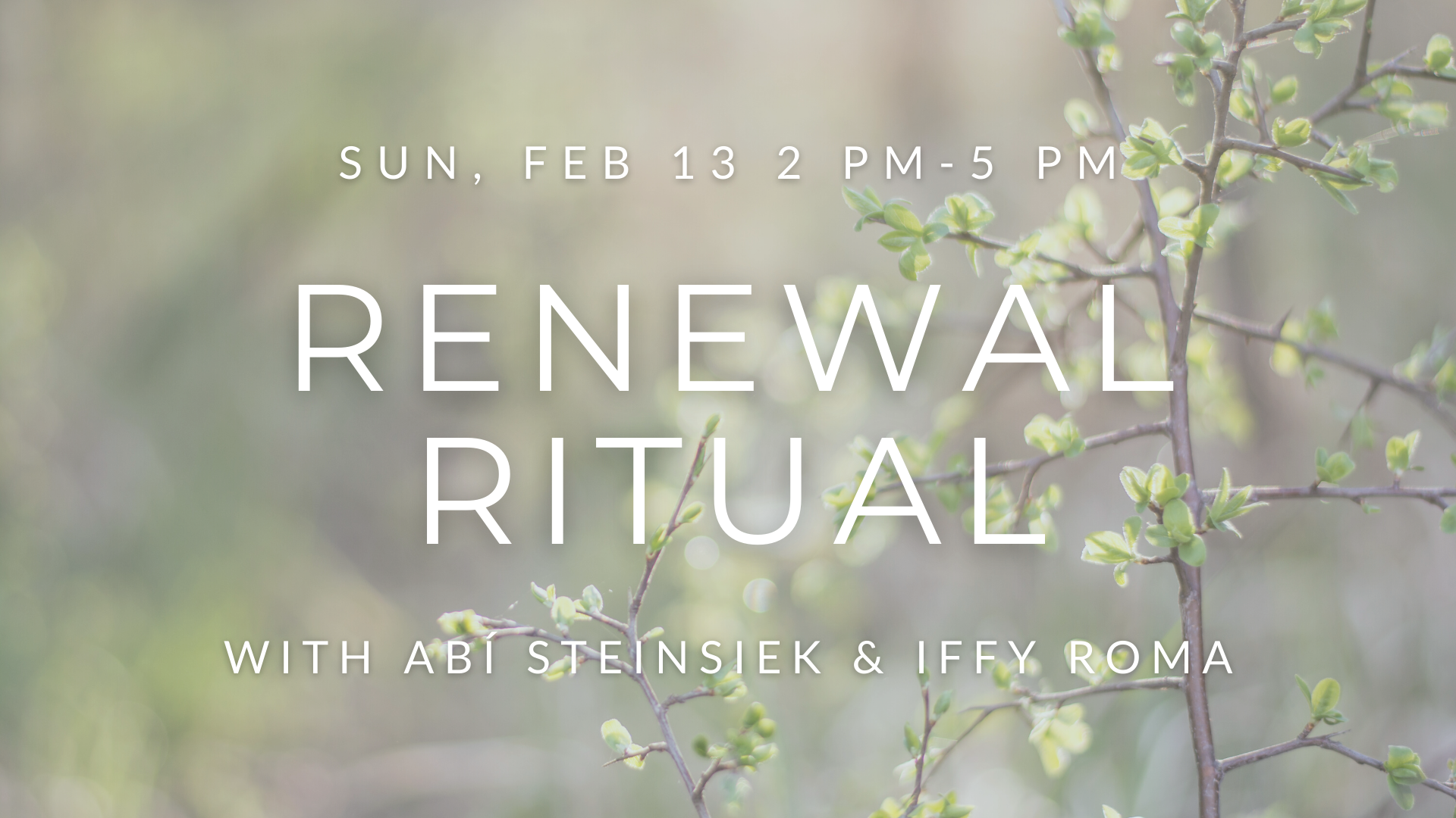 Renewal Ritual Renewal Ritual at Body Collective - Austin Monthly Magazine