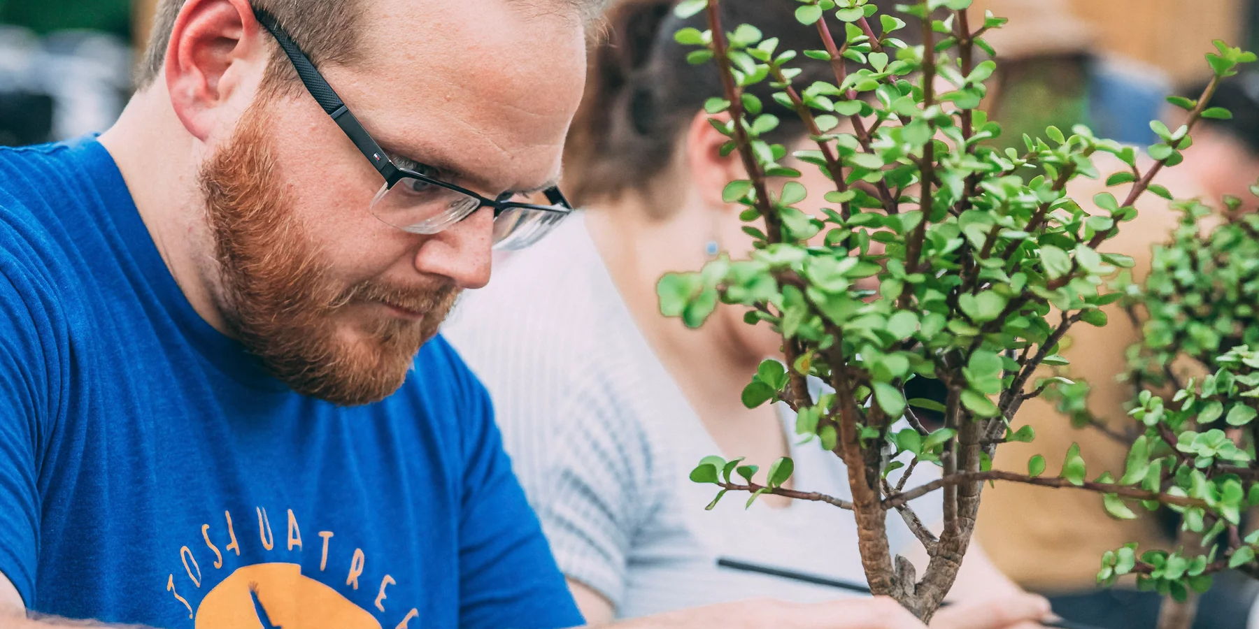 Bonsai Bar Workshop at Fast Friends Beer Company - Austin Monthly Magazine